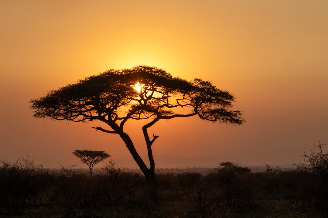 Lemala Camps & Lodges Reveals 2026 ‘Untold Stories’: Redefining Luxury Through Innovation and Community Empowerment